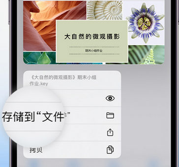 泽普apple维修中心分享iPhone文件应用中存储和找到下载文件