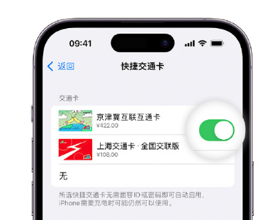 泽普apple维修点分享iPhone上更换Apple Pay快捷交通卡手绘卡面 