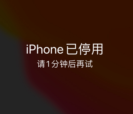 泽普苹果手机维修分享:iPhone 显示“不可用”或“已停用”怎么办？还能保留数据吗？ 