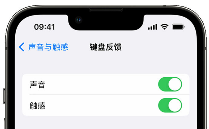 泽普苹果手机维修分享iPhone 14触感键盘使用方法 