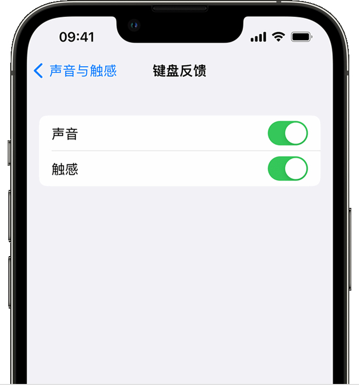 泽普苹果14维修店分享如何在 iPhone 14 机型中使用触感键盘 