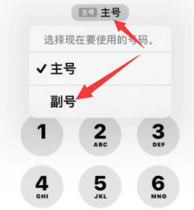 泽普苹果14维修店分享iPhone 14 Pro Max使用副卡打电话的方法 