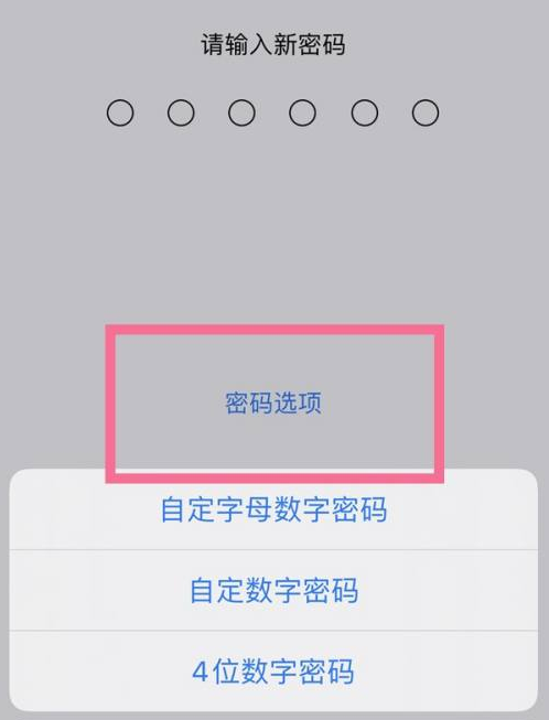 泽普苹果14维修分享iPhone 14plus设置密码的方法 