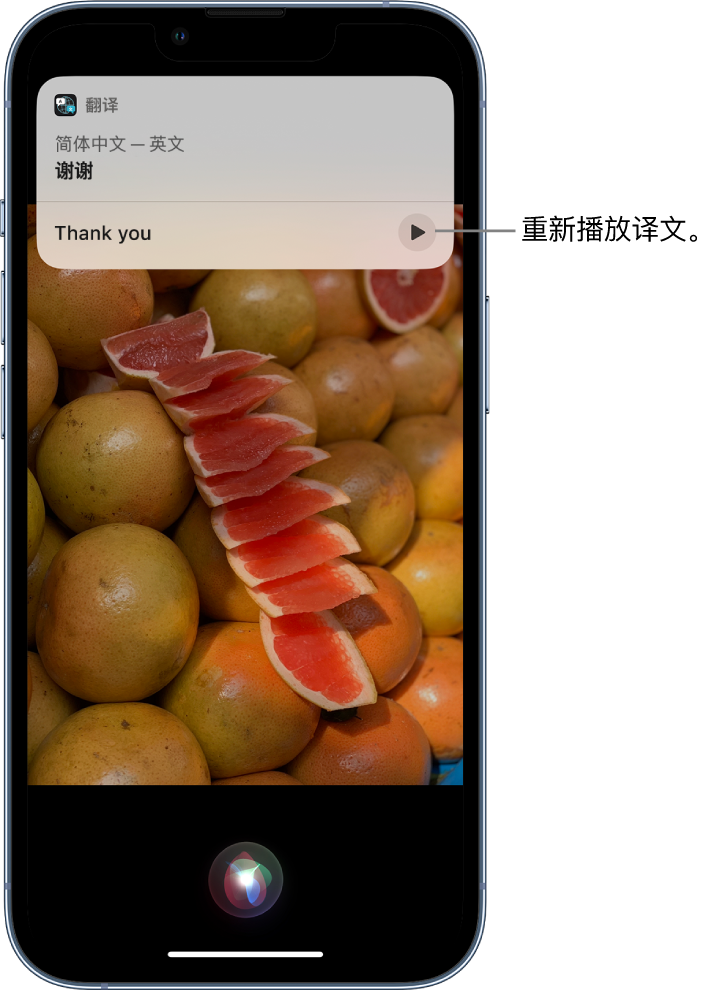 泽普苹果14维修分享 iPhone 14 机型中使用 Siri：了解 Siri 能帮你做什么 