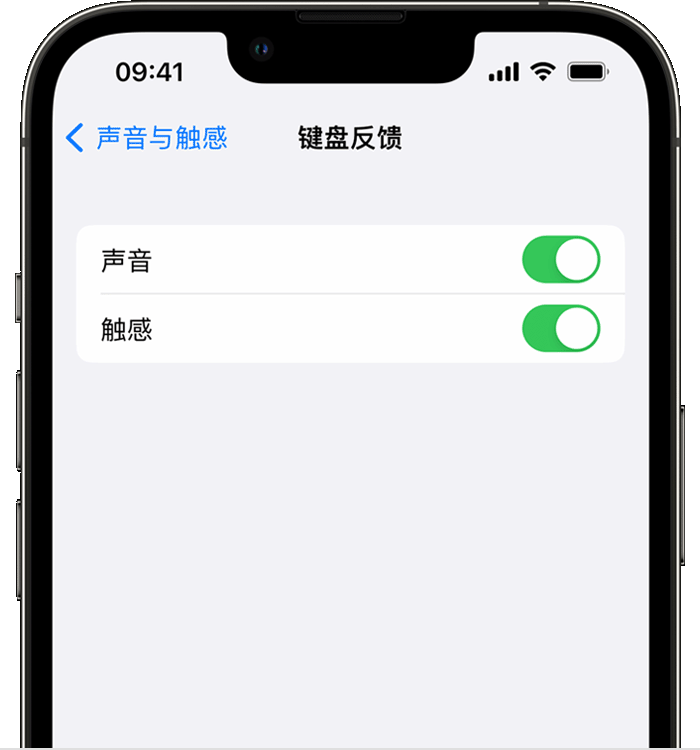 泽普苹果14维修分享iPhone 14 系列机型如何开启键盘声音或触感反馈 