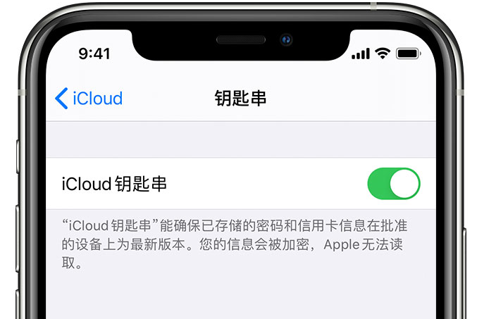 泽普苹果手机维修分享在 iPhone 上开启 iCloud 钥匙串之后会储存哪些信息 