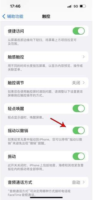 泽普苹果手机维修分享iPhone手机如何设置摇一摇删除文字 