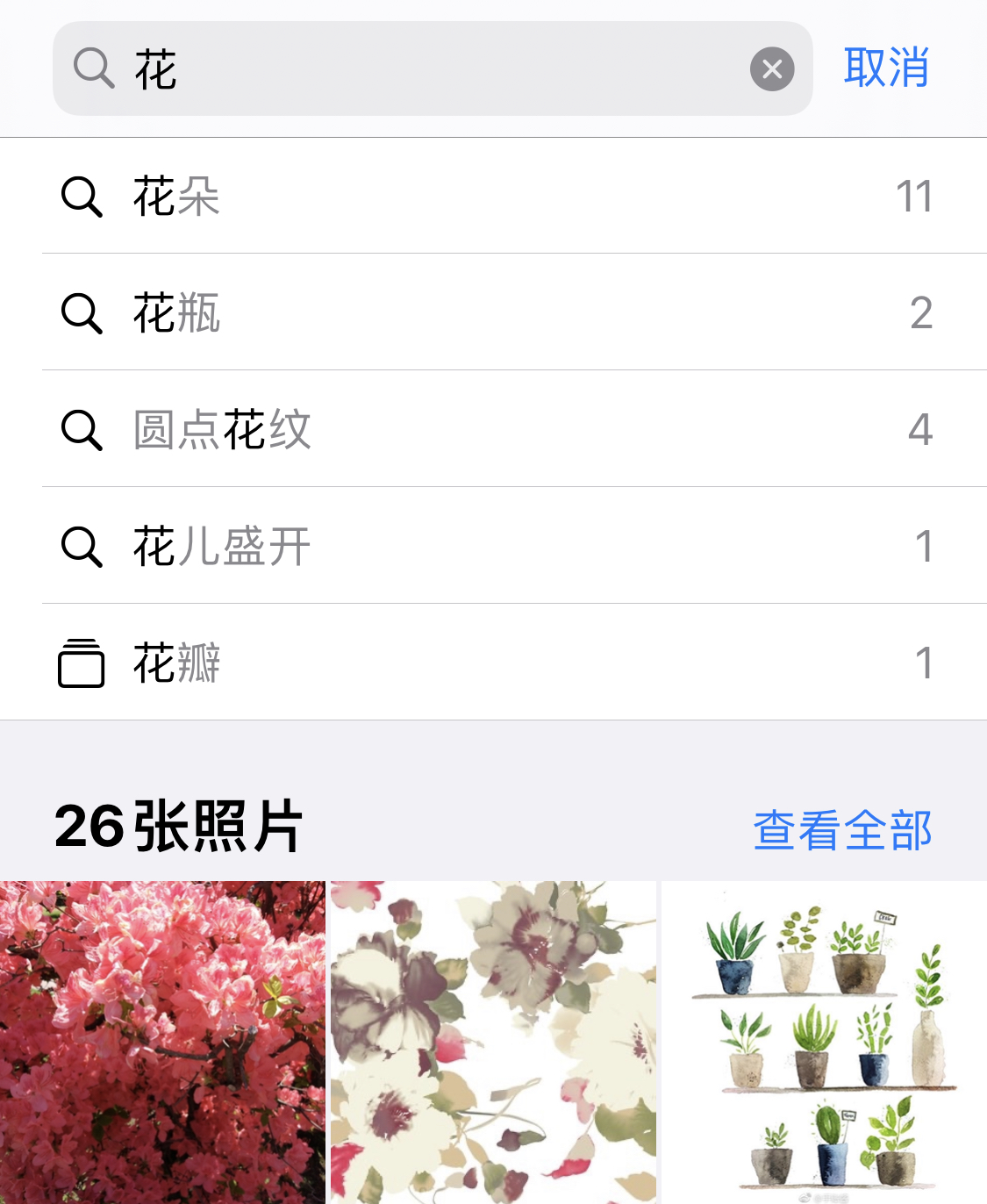 泽普苹果手机维修分享iPhone 小技巧 