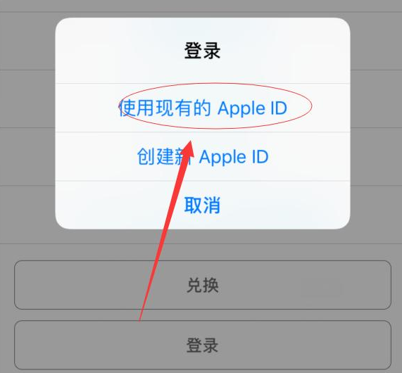 泽普苹果手机维修分享两台iPhone设备可以同时登录一个Apple ID吗 
