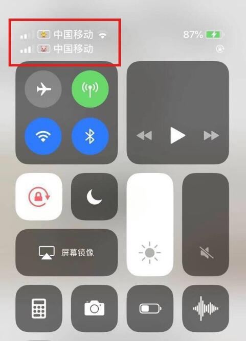 泽普苹果手机维修分享为 iPhone 12 双卡设置标签 