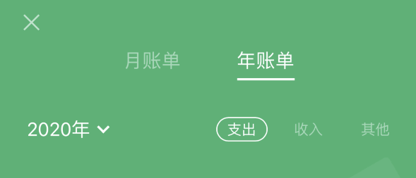 泽普苹果手机维修分享如何在 iPhone 上查看支付宝和微信年支出账单 