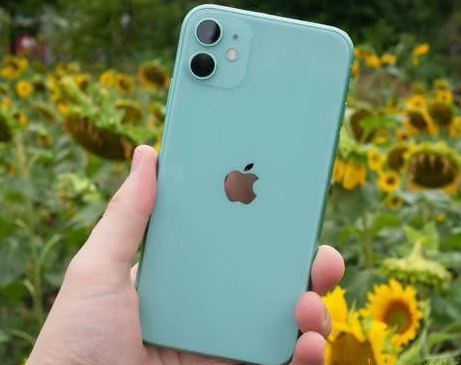 泽普苹果维修点分享iPhone 11锁屏密码认知与使用科普 